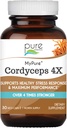 PURE ESSENCE LABS MyPure Cordyceps 4X Mushrooms - Concentrated Cordyceps Mushroom תוסף עבור מערכת החיסון, תגובה מתח, ביצועים פיזיים ונפשיים - 1 חודש אספקה