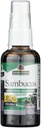 תגית: Sambucus Spray