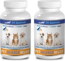 כלב Immune System תוספים - PET Allergy הקלה - לכלבים וחתולים - פורמולה מתקדמת - Burdock Root for Dogs - 2 בקבוק (150 צ'יפס)