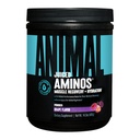 Animal אומגה 3 & 6 תוספת עם שמן דגים & Flaxseed שמן Plus Juiced Amino Acids BCAA/EAA Matrix for Recovery - 30 משרת כל אחד
