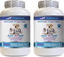 PET SUPPLEMENTS & NUTRITION LLC כלב שיניים Hygiene - Dogs Total Health Control - תמיכה בשומן - שיער העור נושר פורמולה בריאות הפה - קלוריות אוראליות לכלבים - 2 בקבוקים (120 טיפולים)