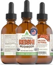 RawGuru אורגני Reishi Mushroom Tincture - Reishi Mushroom Extract with Natural Trace מינרלים - Nano-Processed Cognitive & Immune Support Supplements ל 60 מ"ל, Pack of 1