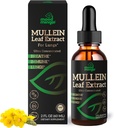 Mallein Leaf Extracts for Lungs - Mullein Drops for Respiratory Health Support Lung Detox ניקויse - Gluten Free - תוסף נוזלי לגברים 2fl. oz (60 מ"ל) (1 Pack)