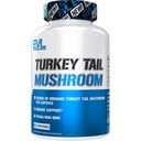 תזונה בטורקיה Tail Mushroom - 500 מ"ג טורקיה Tail Mushroom ל- Immune Support - תוספת תזונתית - טבעונית ו- non-GMO - 60 משרתים - 60 קפסולות
