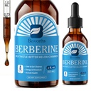 תוספת ברברין עם Ceylon Cinnamon - Berberine נוזל טיפות עם Turmeric Curcumin, Ceylon Cinnamon, Bitter Melon, Berberine Phytosome עבור מערכת העיכול, Immune בריאות תמיכה - וצמחוני