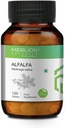 Sheltr alphalfa Tablet, Medicago Sativa, All Natural, Pure Herbs 500 מ"ג x 120 טבליות